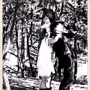 A Day in the Woods A Day in the Woods. Proccesed as high dynamic, high contrast film