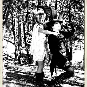 A Day in the Woods A Day in the Woods. Proccesed as high dynamic, high contrast film