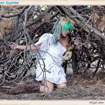 A Day in the Woods A Day in the Woods