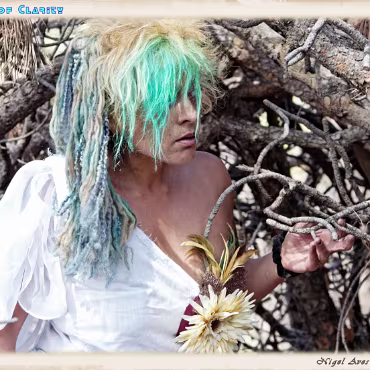 A Day in the Woods A Day in the Woods