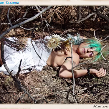 A Day in the Woods A Day in the Woods