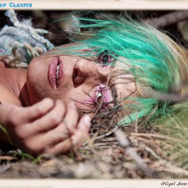 A Day in the Woods A Day in the Woods