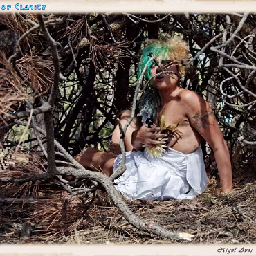 A Day in the Woods A Day in the Woods