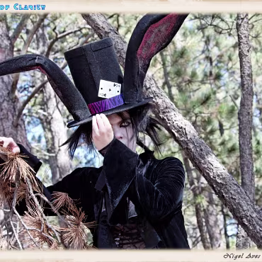 A Day in the Woods A Day in the Woods