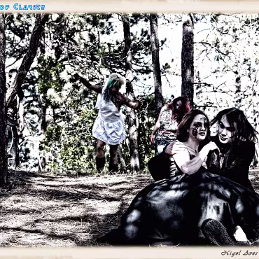 A Day in the Woods A Day in the Woods. Proccesed as if a bleach rinse was used on film.