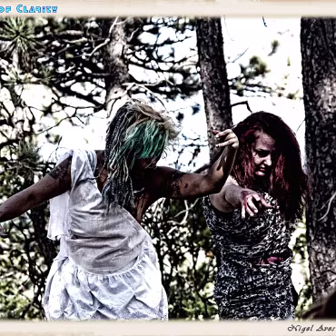 A Day in the Woods A Day in the Woods. Proccesed as if a bleach rinse was used on film.