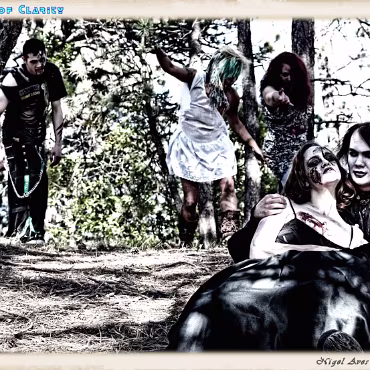 A Day in the Woods A Day in the Woods. Proccesed as if a bleach rinse was used on film.