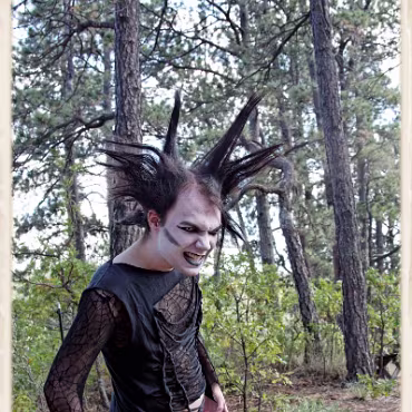 A Day in the Woods A Day in the Woods