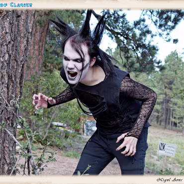 A Day in the Woods A Day in the Woods