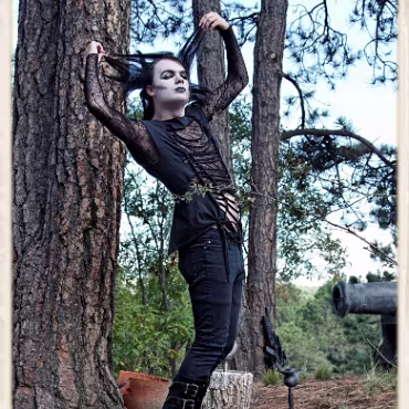 A Day in the Woods A Day in the Woods