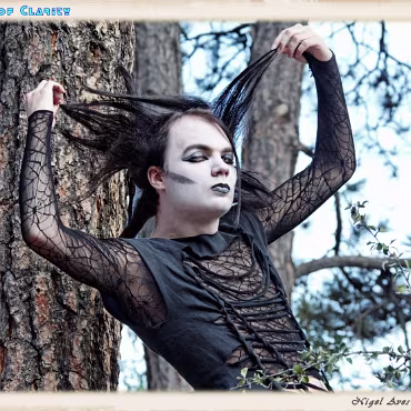 A Day in the Woods A Day in the Woods