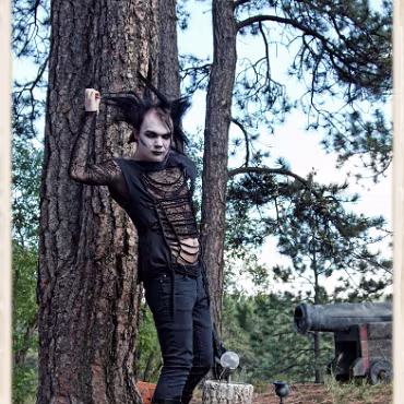 A Day in the Woods A Day in the Woods