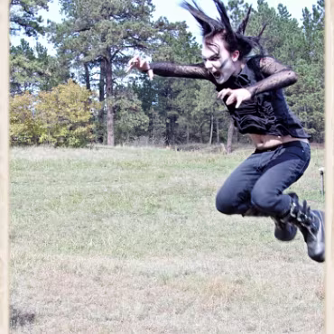 A Day in the Woods A Day in the Woods