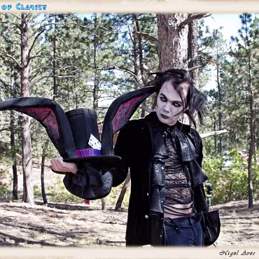 A Day in the Woods A Day in the Woods