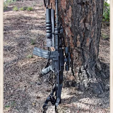 A Day in the Woods A Day in the Woods