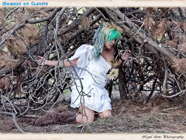 Saucerful Of Secrets