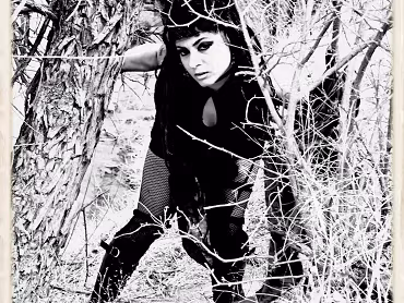 Contrasted Black And White