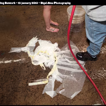 Rochelle and Mythica Rochelle and Mythica