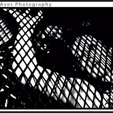 Perceptions of Fantasy Perceptions of Fantasy