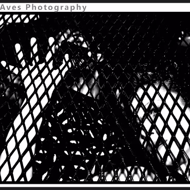 Perceptions of Fantasy Perceptions of Fantasy