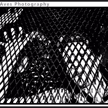 Perceptions of Fantasy Perceptions of Fantasy