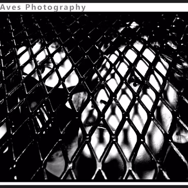 Perceptions of Fantasy Perceptions of Fantasy