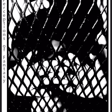 Perceptions of Fantasy Perceptions of Fantasy