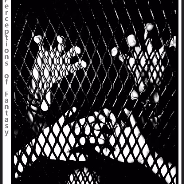 Perceptions of Fantasy Perceptions of Fantasy