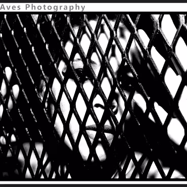 Perceptions of Fantasy Perceptions of Fantasy