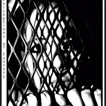 Perceptions of Fantasy Perceptions of Fantasy