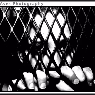 Perceptions of Fantasy Perceptions of Fantasy