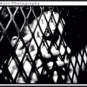 Perceptions of Fantasy Perceptions of Fantasy