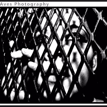 Perceptions of Fantasy Perceptions of Fantasy