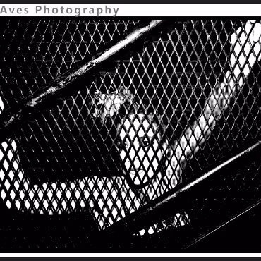 Perceptions of Fantasy Perceptions of Fantasy