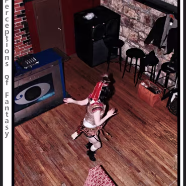 Perceptions of Fantasy Perceptions of Fantasy