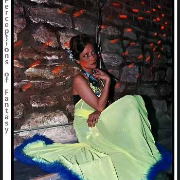 Perceptions of Fantasy Perceptions of Fantasy
