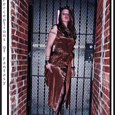 Perceptions of Fantasy Perceptions of Fantasy