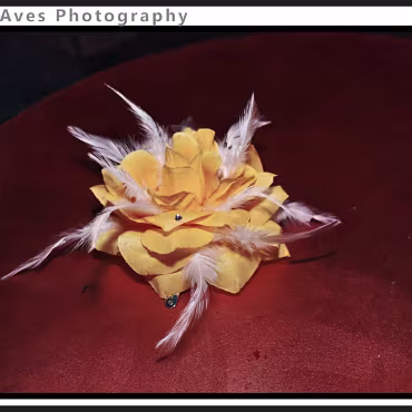 Perceptions of Fantasy Perceptions of Fantasy