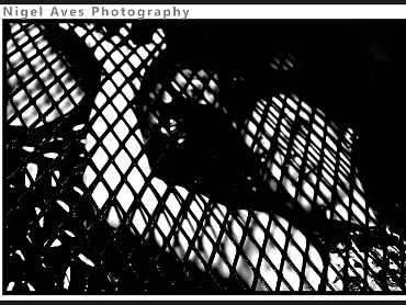 Caged