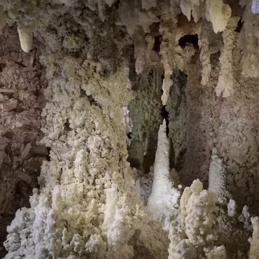 Denver Museum of Nature & Science Denver Museum of Nature & Science