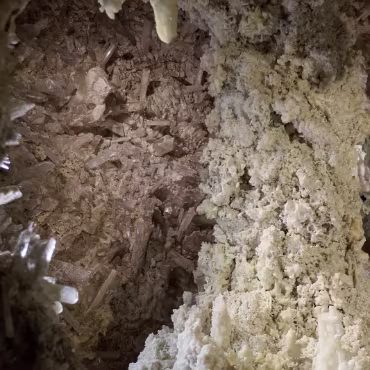 Denver Museum of Nature & Science Denver Museum of Nature & Science