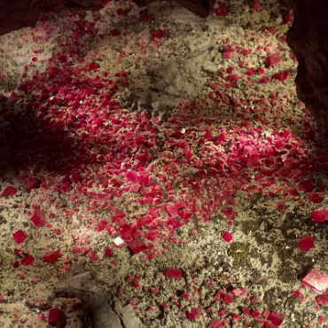 Denver Museum of Nature & Science Denver Museum of Nature & Science