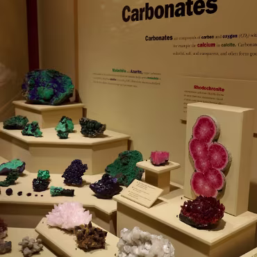 Denver Museum of Nature & Science Denver Museum of Nature & Science