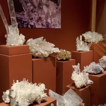 Denver Museum of Nature & Science Denver Museum of Nature & Science