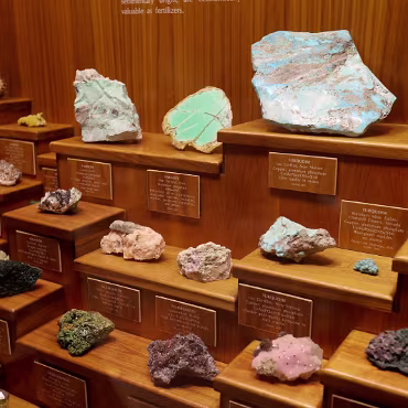 Denver Museum of Nature & Science Denver Museum of Nature & Science