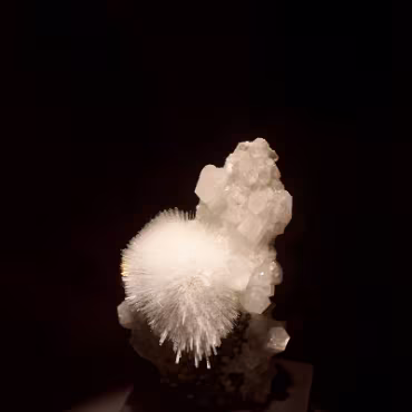 Denver Museum of Nature & Science Denver Museum of Nature & Science