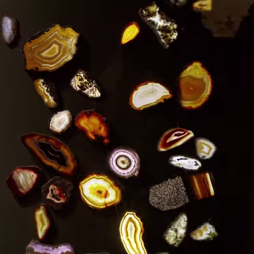 Denver Museum of Nature & Science Denver Museum of Nature & Science