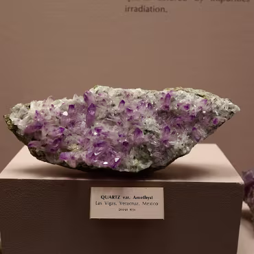 Denver Museum of Nature & Science Denver Museum of Nature & Science