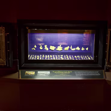 Denver Museum of Nature & Science Denver Museum of Nature & Science