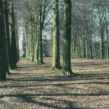 Holland - Nederlands All of these photographs were taken with my Canon F1 and scanned from the slides. Quality is therefore somewhat lacking!